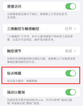 临西苹果授权维修站分享iPhone轻点无法唤醒怎么办