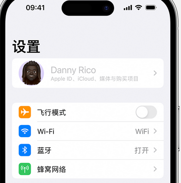 临西appleID维修服务iPhone设置中Apple ID显示为灰色无法使用