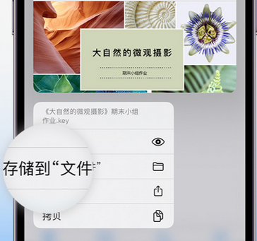 临西apple维修中心分享iPhone文件应用中存储和找到下载文件