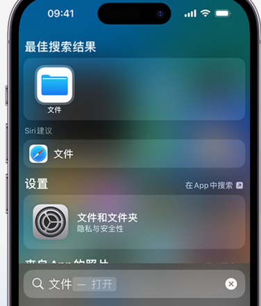 临西apple维修中心分享iPhone文件应用中存储和找到下载文件 