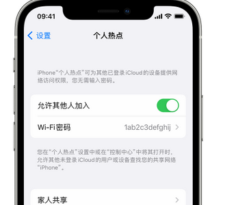 临西apple服务站点分享iPhone上个人热点丢失了怎么办 