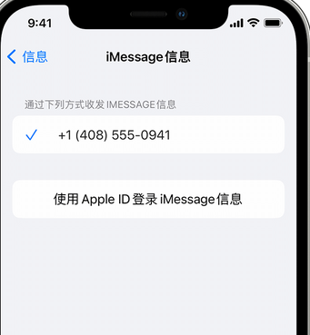 临西apple维修iPhone上无法正常发送iMessage信息 