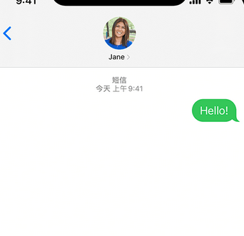 临西apple维修iPhone上无法正常发送iMessage信息