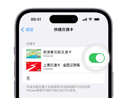 临西apple维修点分享iPhone上更换Apple Pay快捷交通卡手绘卡面 