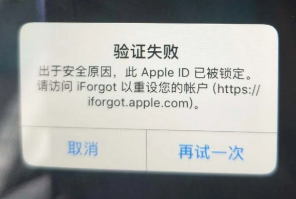 临西iPhone维修分享iPhone上正常登录或使用AppleID怎么办 