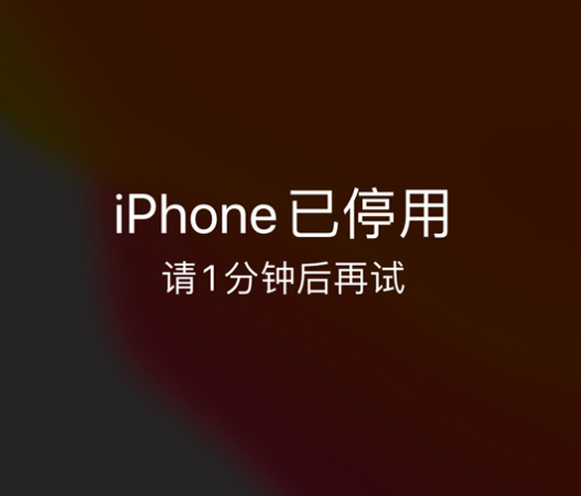 临西苹果手机维修分享:iPhone 显示“不可用”或“已停用”怎么办？还能保留数据吗？ 