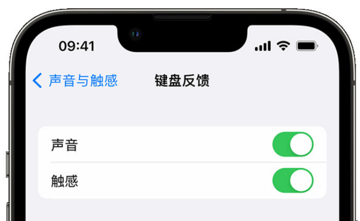 临西苹果手机维修分享iPhone 14触感键盘使用方法 