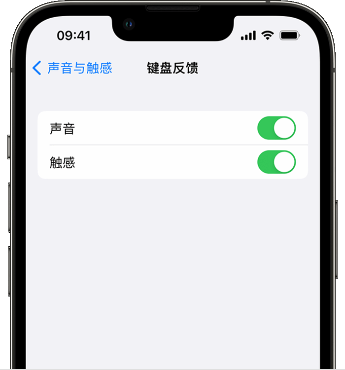 临西苹果14维修店分享如何在 iPhone 14 机型中使用触感键盘 