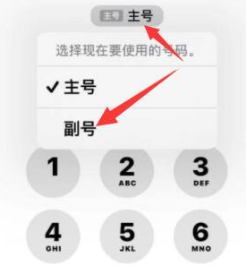 临西苹果14维修店分享iPhone 14 Pro Max使用副卡打电话的方法 