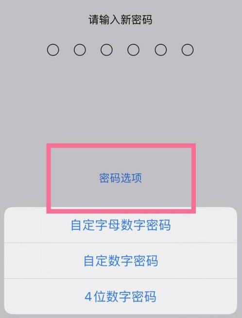 临西苹果14维修分享iPhone 14plus设置密码的方法 