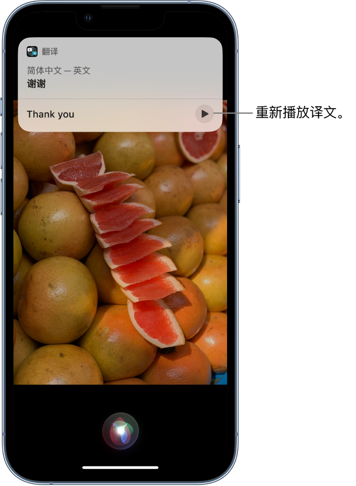 临西苹果14维修分享 iPhone 14 机型中使用 Siri：了解 Siri 能帮你做什么 