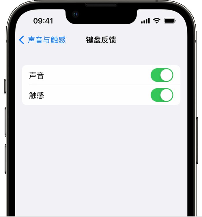 临西苹果14维修分享iPhone 14 系列机型如何开启键盘声音或触感反馈 