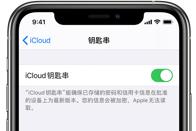 临西苹果手机维修分享在 iPhone 上开启 iCloud 钥匙串之后会储存哪些信息 