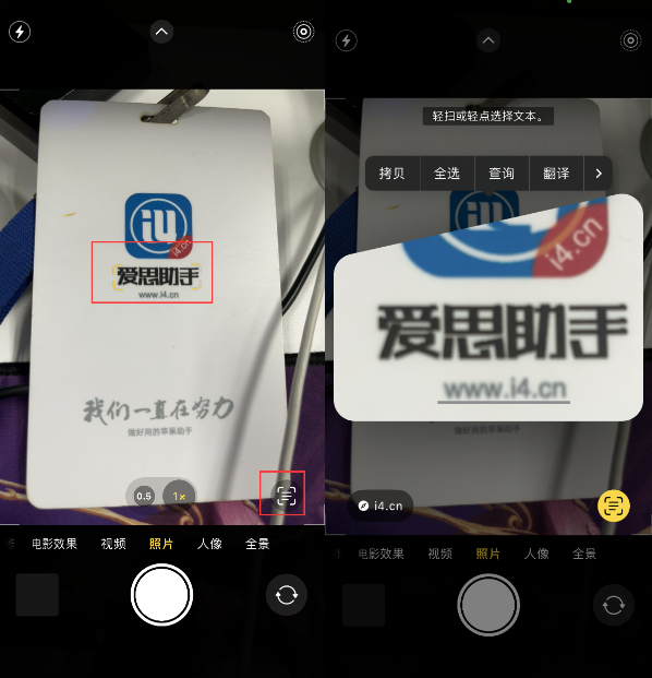 临西苹果手机维修分享升级iOS 16后如何通过相机翻译文本 