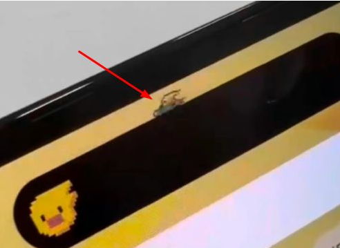 临西苹果14维修分享iPhone 14 Pro Max灵动岛怎么养宠物 