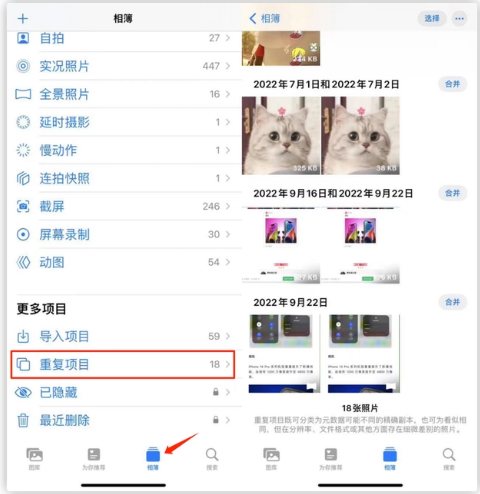 临西苹果手机维修分享iOS 16 中相册重复项目功能使用方法 