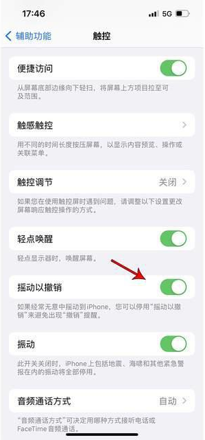 临西苹果手机维修分享iPhone手机如何设置摇一摇删除文字 