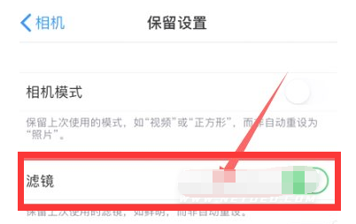 临西苹果13维修分享iPhone13拍照有绿点是怎么回事 