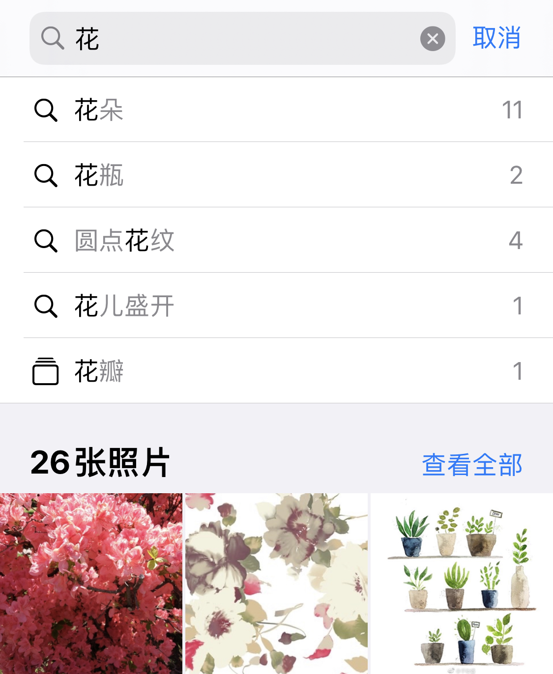 临西苹果手机维修分享iPhone 小技巧 