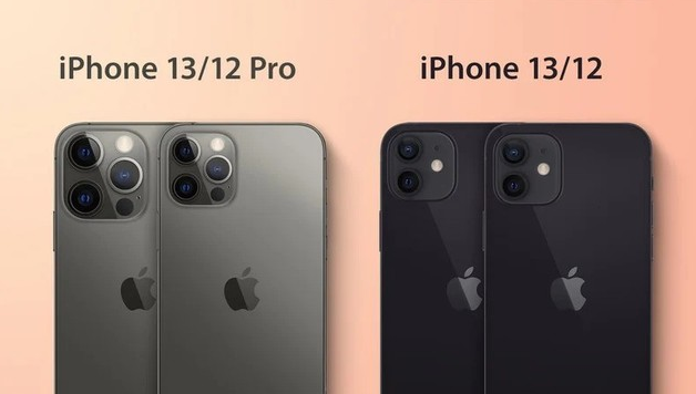 临西苹果手机维修分享iPhone 13 摄像头长什么样 