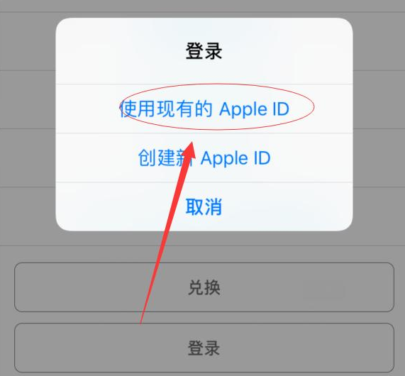 临西苹果手机维修分享两台iPhone设备可以同时登录一个Apple ID吗 