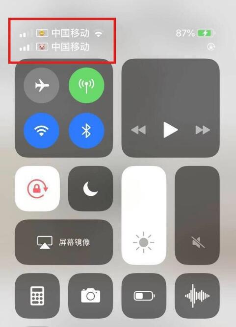 临西苹果手机维修分享为 iPhone 12 双卡设置标签 