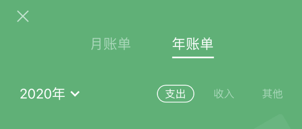 临西苹果手机维修分享如何在 iPhone 上查看支付宝和微信年支出账单 