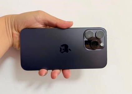 临西苹果维修点分享iPhone 14 Pro Max黑屏少见故障盘点 