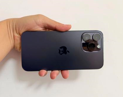临西苹果维修点分享iPhone 14 Pro Max发烫多重诱因剖析 
